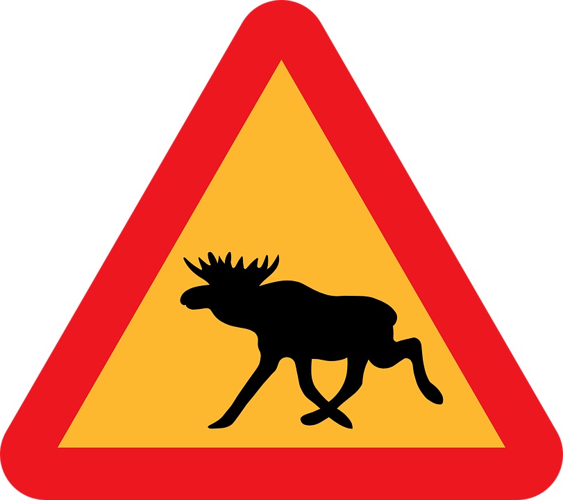 Varningskylt med en älg.