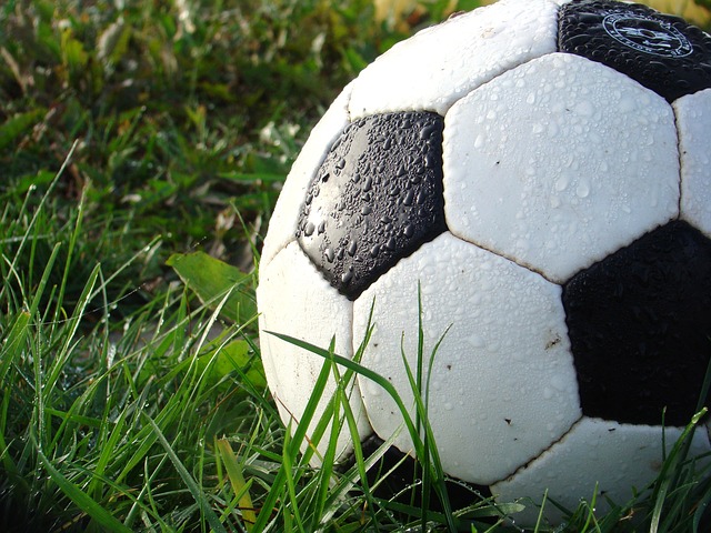 Närbild på en fotboll i gräset.