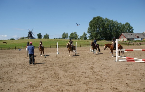 Bild på tränare framför fem elever på hästar.