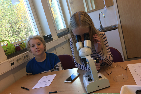 Två elever som kollar på kryp i mikroskåp