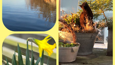 Fotokollage med vårbilder.