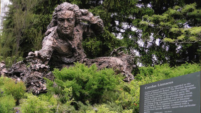 Foto på en skulptur av Carl von Linné