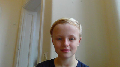 Vilmer