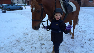 Foto på en brun häst och en liten flicka som leder honom.