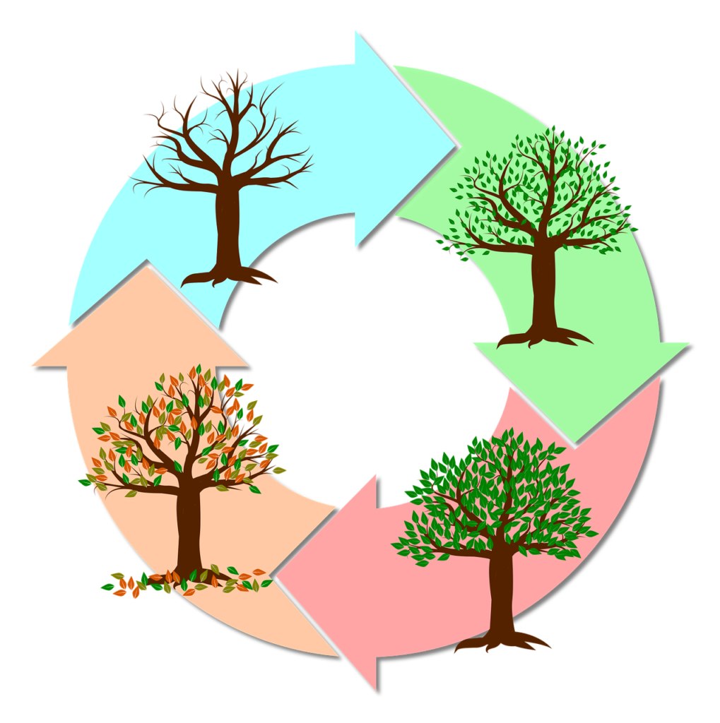 Veckans fördjupning de fyra årstiderna