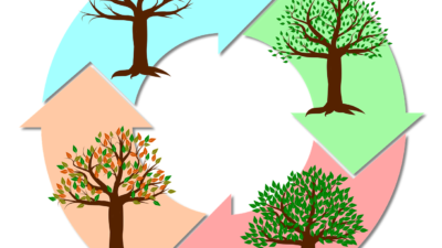 Veckans fördjupning de fyra årstiderna