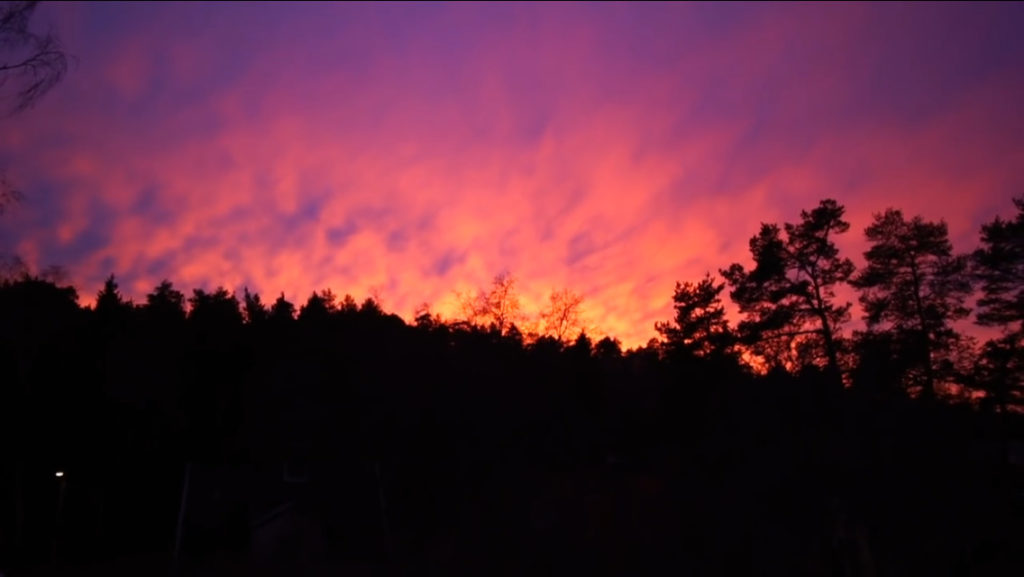 Foto på en solnedgång över trädtopparna.