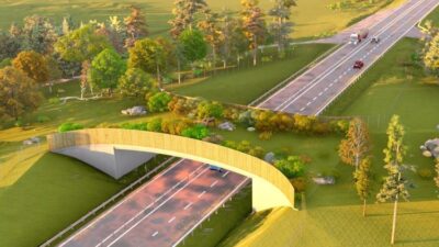 En animation av hur den kommande viltbron ska se ut. Bron går över en trafikerad väg och det växer gräs på den.