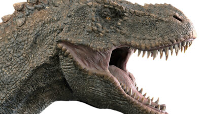 En närbild på en dinosaurie som gapar och visar alla sina vassa tänder.