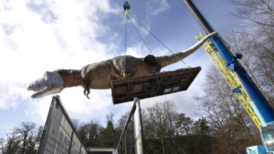 En stor dinosaurie som lyfts ur en lastbil med en lyftkran.