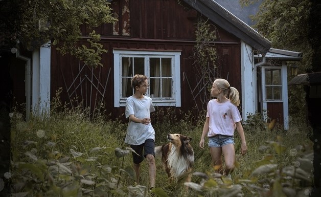 Veckans boktips: Dagboken i ödehuset