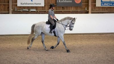 Sandra Carlsson rider på en vit häst.